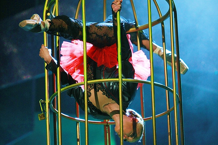 «Страус в клешах»: Волочкову высмеяли за танцы в клетке «Страус в клешах»: Волочкову высмеяли за танцы в клетке