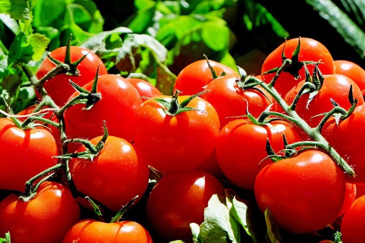 Будут вкусными и сладкими: раскрыты главные секреты выращивания идеальных помидоров