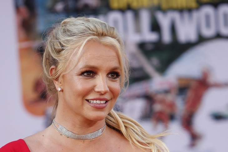 Britney Spears showed her ample assets in leopard print underwear