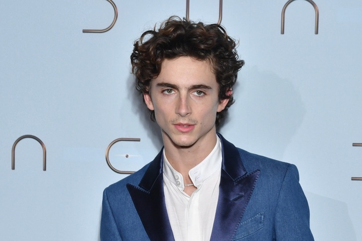 Timothee Chalamet is looking for a new girlfriend in a dating app for jews
