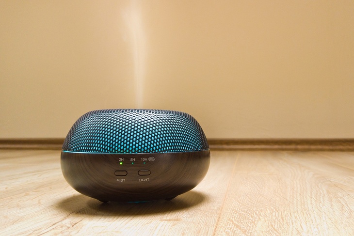 Россиянам рассказали, помогает ли ионизатор воздуха при борьбе с COVID-19