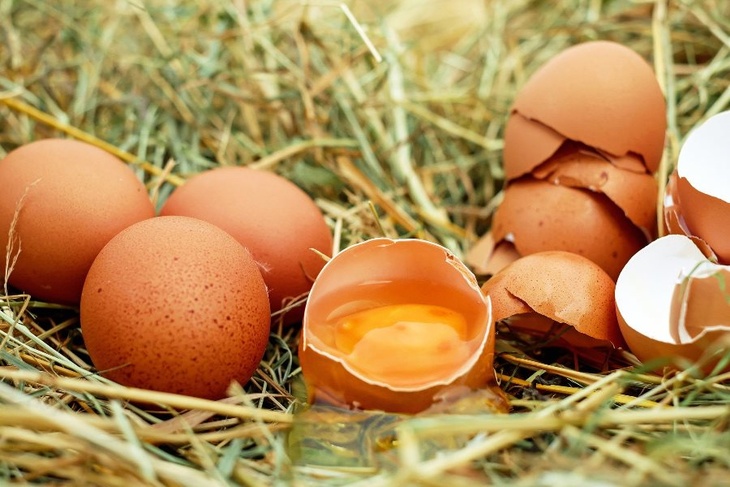 Нутрициолог рассказала, сколько яиц в неделю можно съедать без вреда для здоровья