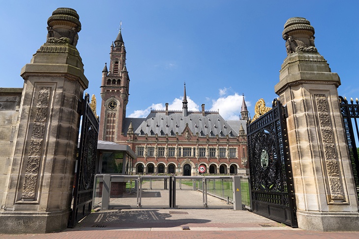 «Как можно скорее»: Международный суд ООН в Гааге начнет расследование ситуации в Украине