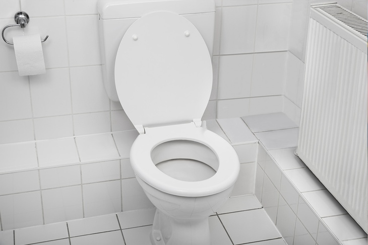 Грозят смертельными инфекциями: названы 6 опасных привычек, которые совершают женщины в туалете