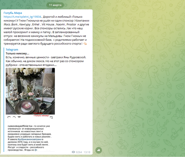 «Прокормит и мамку, и папку»: Рудковская заявила, что Гном Гномыча не коснулись санкции