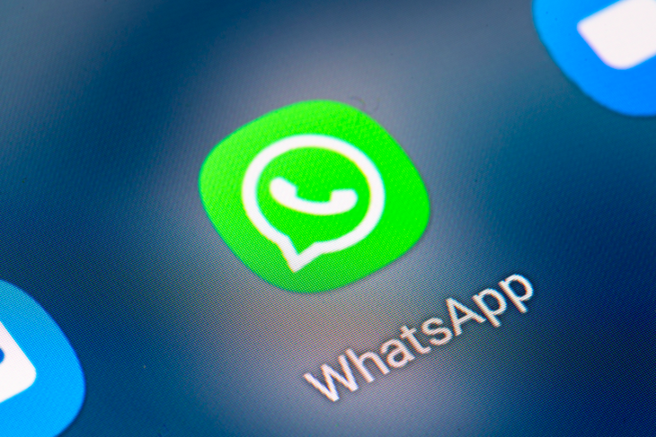 РКН оказался не виноват в сбоях работы WhatsApp