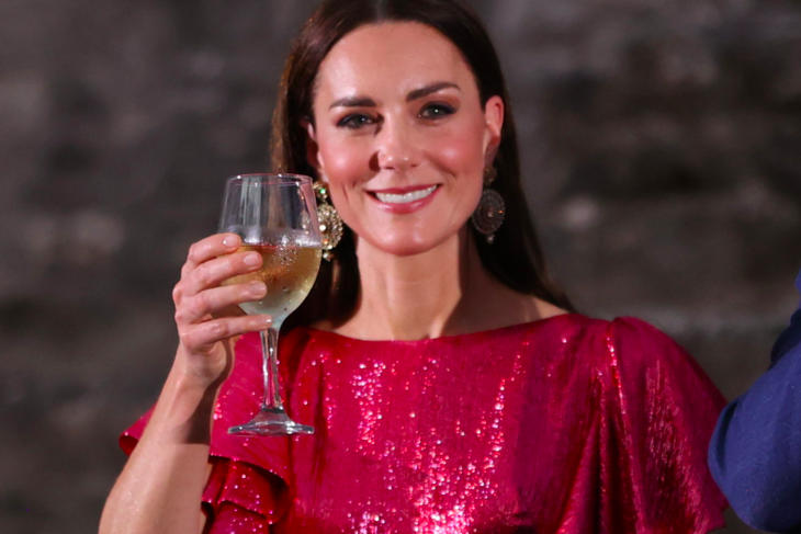 Kate Middleton wows fans with her sparkling Vampire’s Wife dress