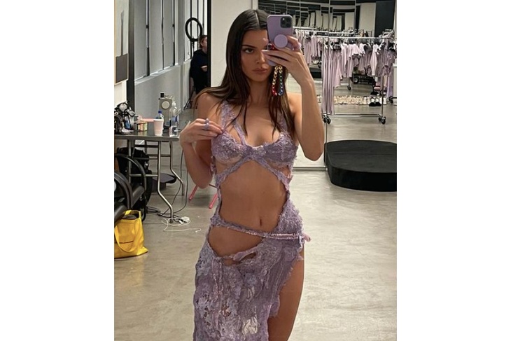 Kendall Jenner poses in nude lilac dress, that shown her sexy figure