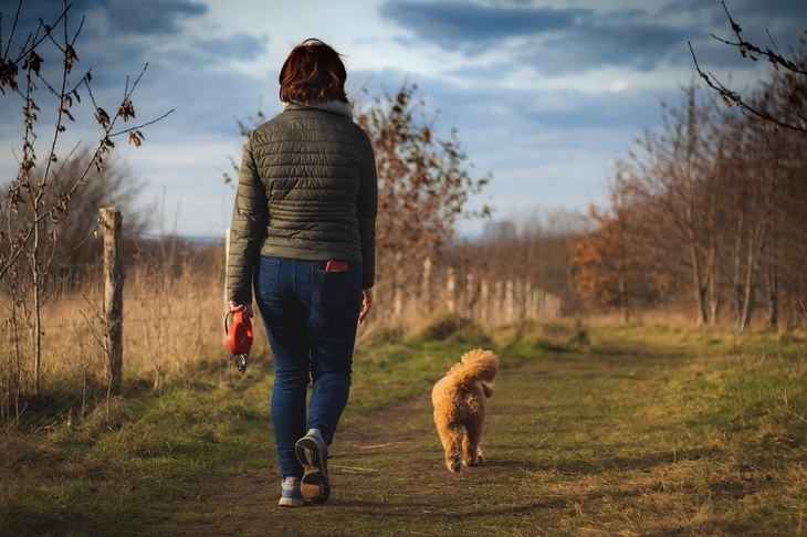 Психолог объяснил, как прогулка поможет справиться со стрессом