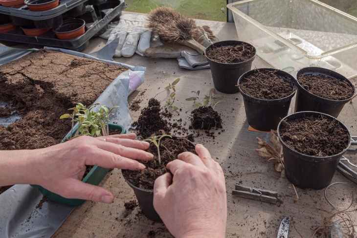 18 марта: какой сегодня праздник, что нужно делать тем, у кого есть свой огород