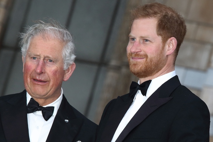 Young Prince Harry smeared sheep dung over Prince Charles suit