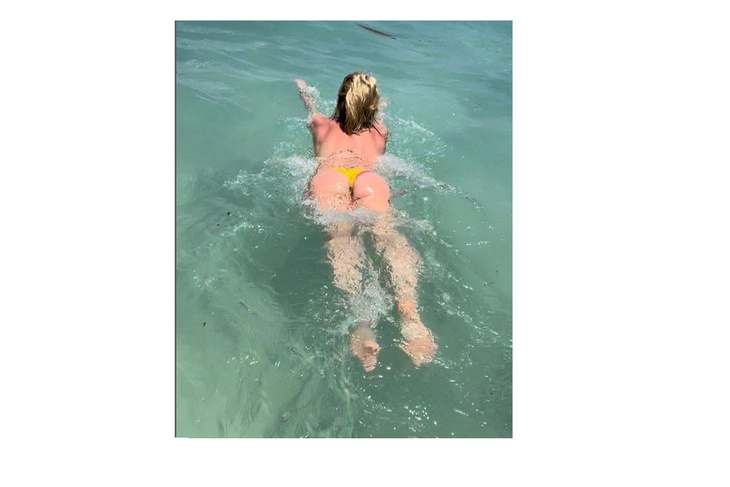 'Say hello to my booty': Britney Spears put on display cheeks in a bikini
