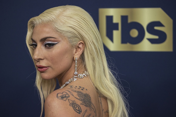 Lady Gaga's dog walker's shooter was MISTAKENLY released from jail
