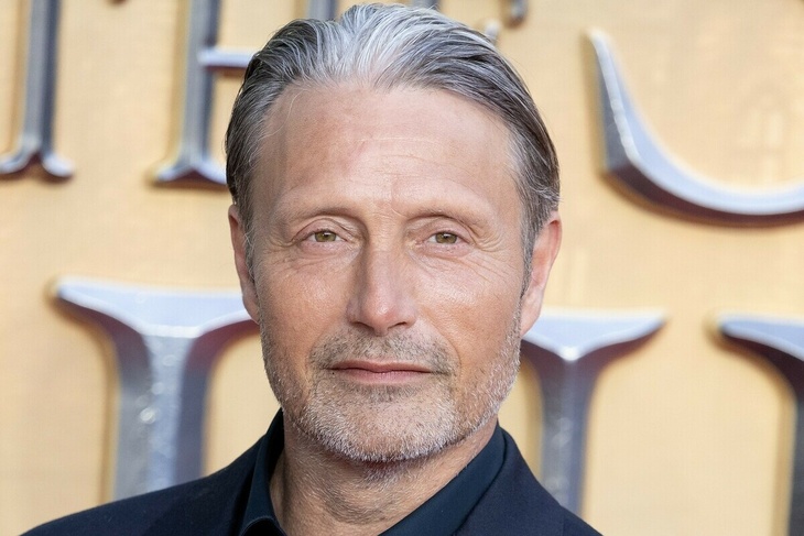 ‘Just panicking’: Mads Mikkelsen speaks out replacing Johnny Depp in ‘Fantastic Beasts’