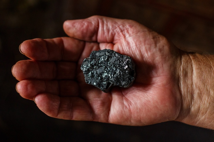 Аналитик оценил эмбарго на поставки угля из РФ в ЕС