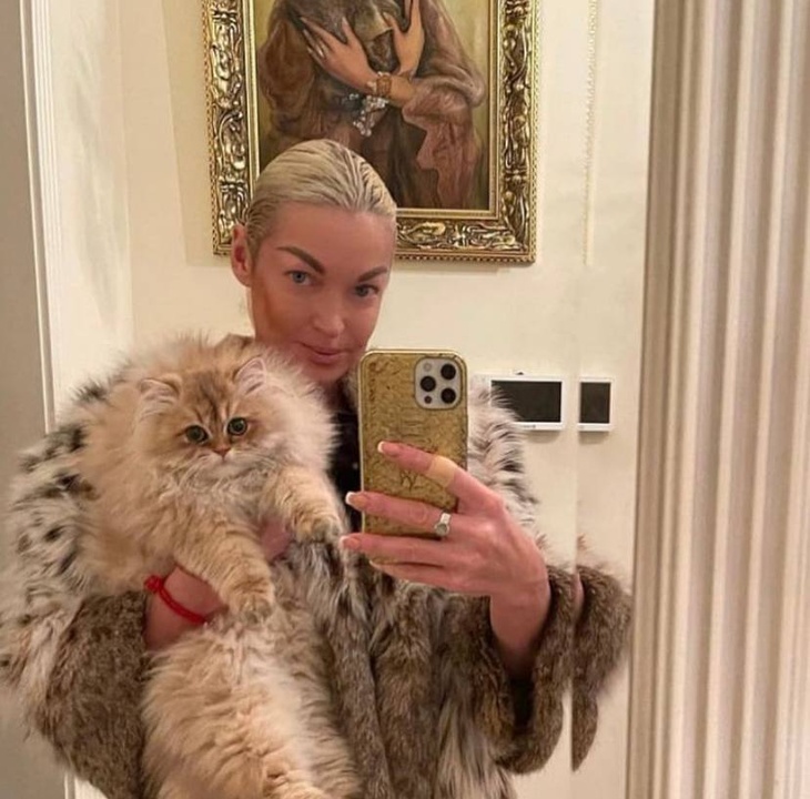 «Усы одинаковые»: Волочкова задумалась, насколько же она похожа на своего кота «Усы одинаковые»: Волочкова задумалась, насколько же она похожа на своего кота