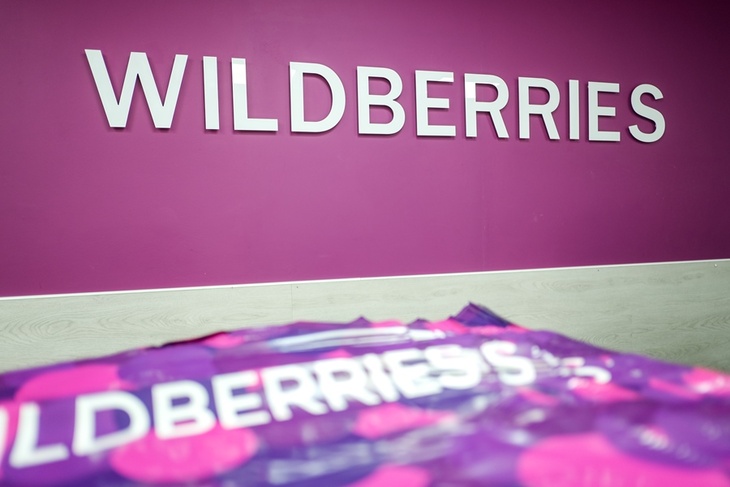 Будет возможность купить дешево: Wildberries теперь продает автодетали по параллельному импорту