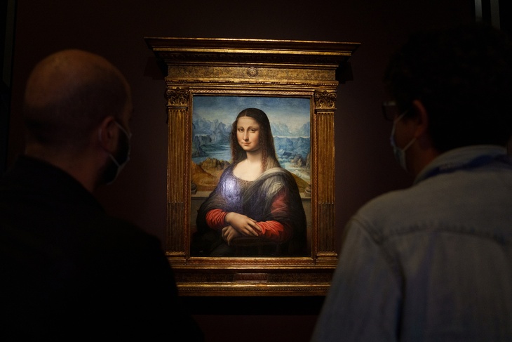 Man in wheelchair disguised as woman throws cake at Mona Lisa