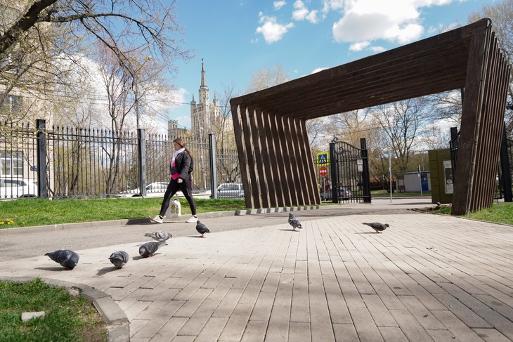 Синоптик дал прогноз погоды на текущую неделю в Москве