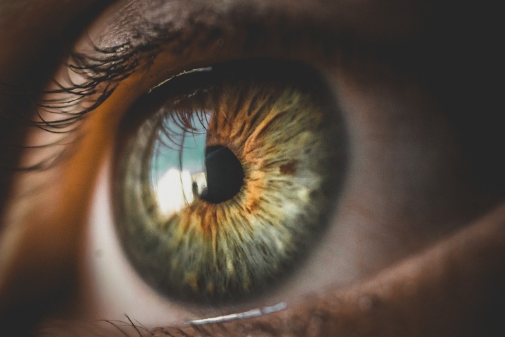 Часть зрения блокируется: названы главные симптомы инсульта глаза, ведущего к слепоте
