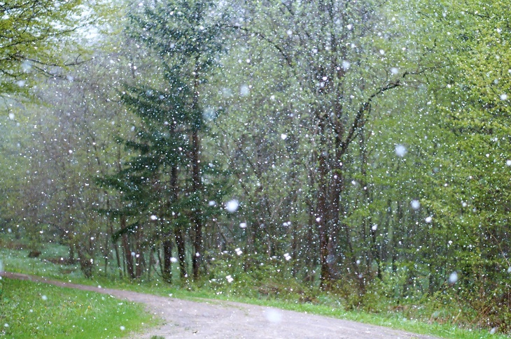 Летом даже не пахнет: синоптик Тишковец пообещал дожди и мокрый снег в конце мая