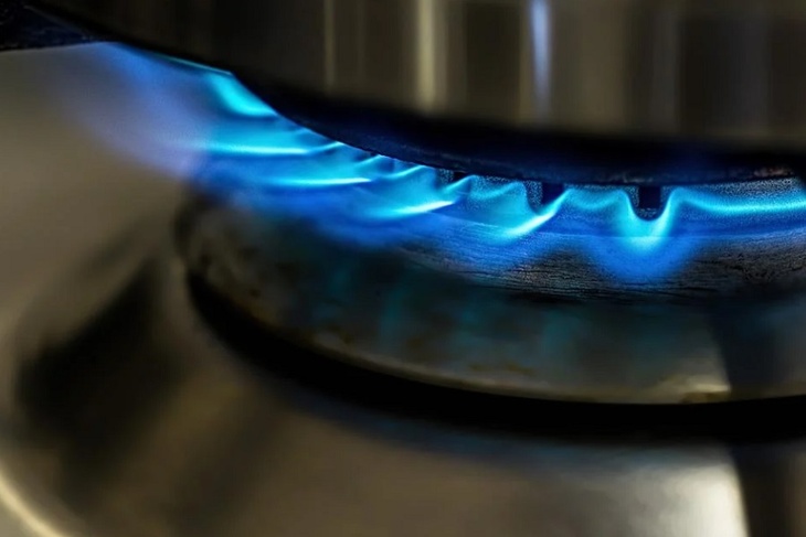 Политолог рассказал, сможет ли Европа перейти на газ из Катара и Норвегии