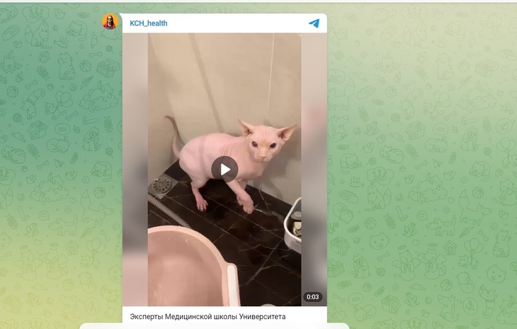 В течение трех минут два раза в день: названа неожиданная польза холодного душа