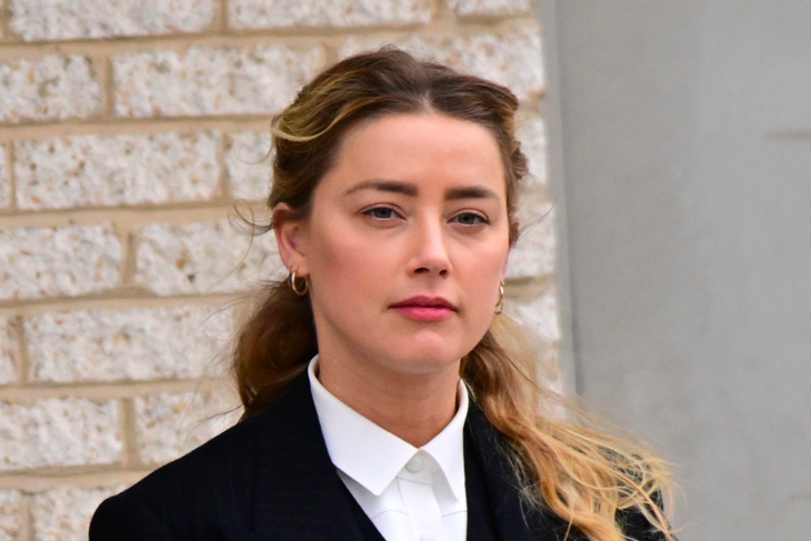 Charity's CEO said Amber Heard's promised money came from Elon Musk