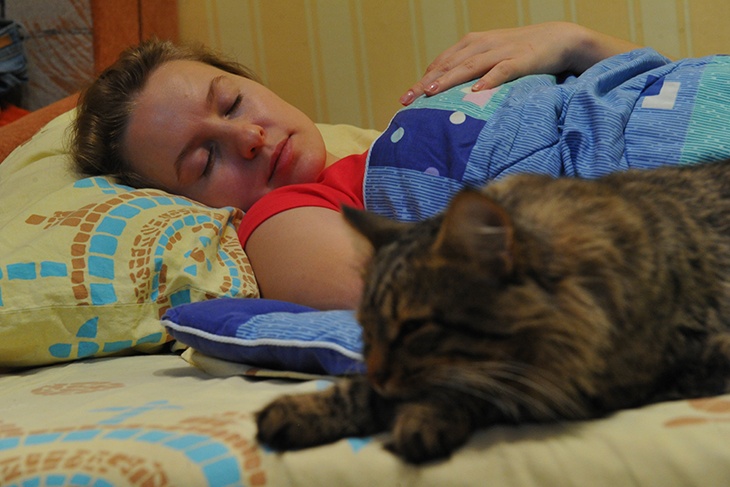 Кот в пододеяльнике: зачем нам спать с пушистыми соседями?