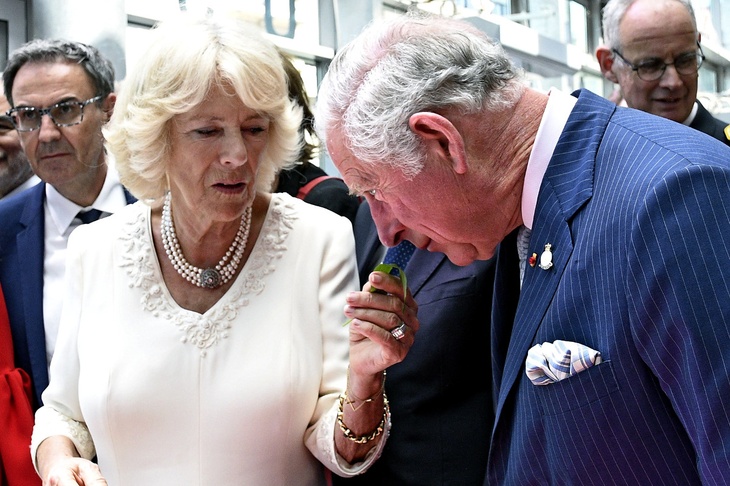 'It’s not easy sometimes:' Camilla opens up about her and Prince Charles life