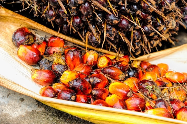 Должно смутить одно слово: диетолог назвал простые способы распознать продукты с пальмовым маслом