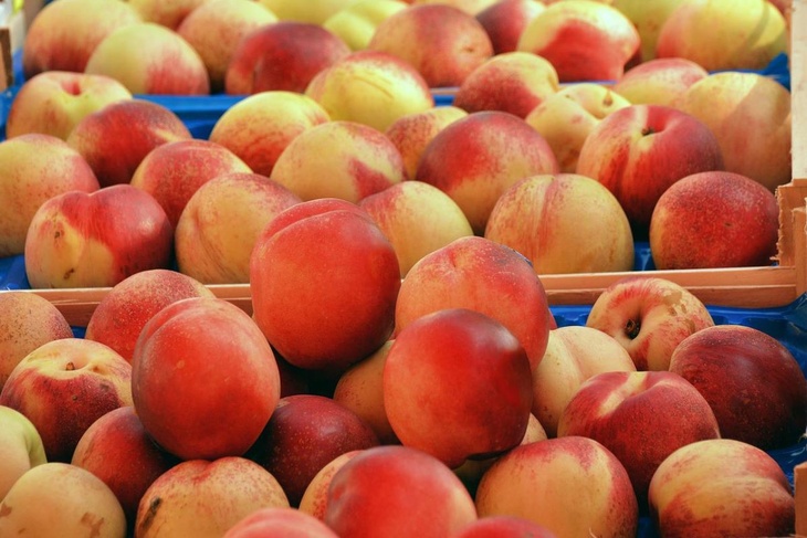 В чем главная опасность бесконтрольного употребления фруктов в летний сезон