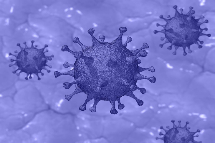 Ученый заявил, что коронавирус становится сезонным заболеванием