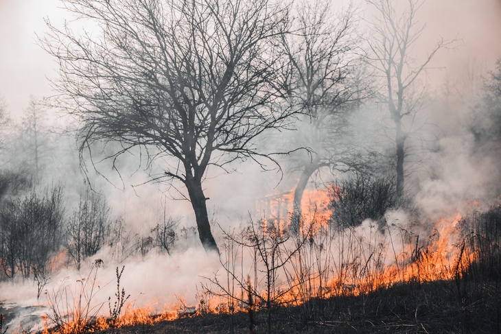 Синоптик заявил, что пожары в Рязанской области не повторят ситуацию 2010 года