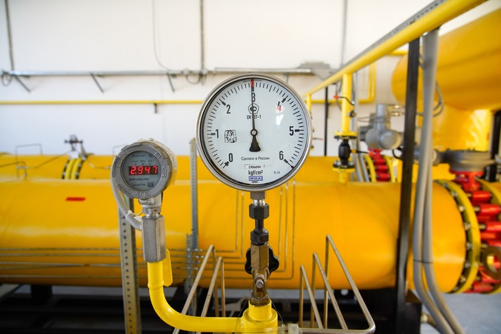 Эксперт: план ЕС по отказу от газа из РФ — глупость и некомпетентность