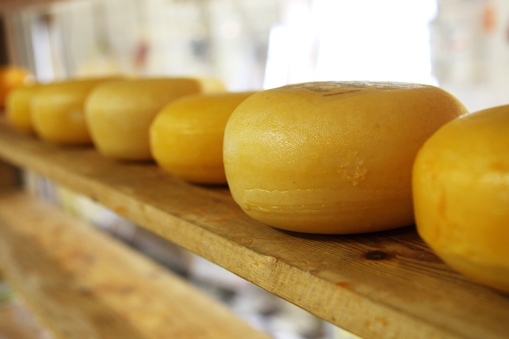 Назван самый полезный для здоровья сыр