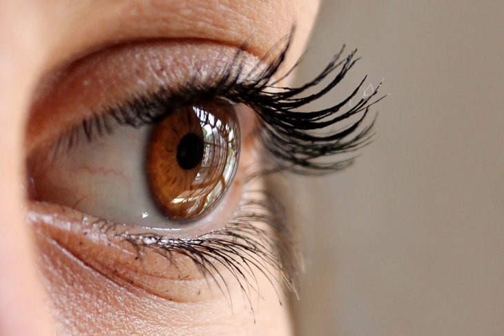 Кардиолог раскрыл, как распознать высокий холестерин по глазам