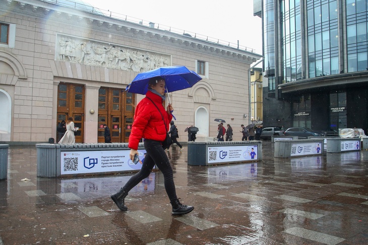 Дождливо и ветрено: Вильфанд рассказал о погоде в Москве на неделе с 17 октября