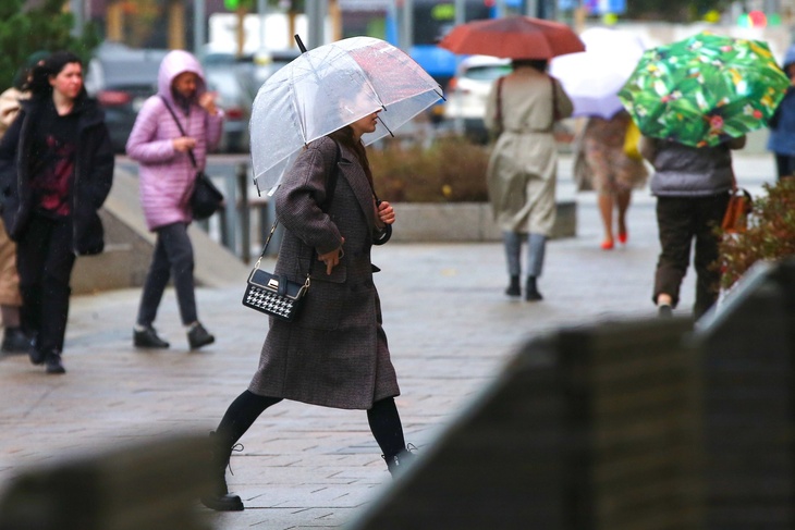 Дожди и заморозки: москвичам рассказали о погоде в начале недели