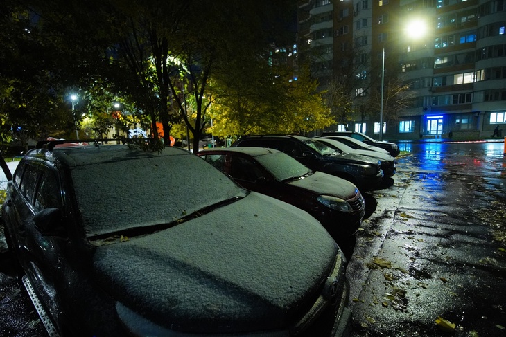 Холодает: москвичам рассказали о погоде в столице на неделе с 31 октября