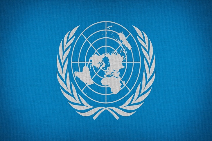 Почему члены ООН поддержали антироссийскую резолюцию