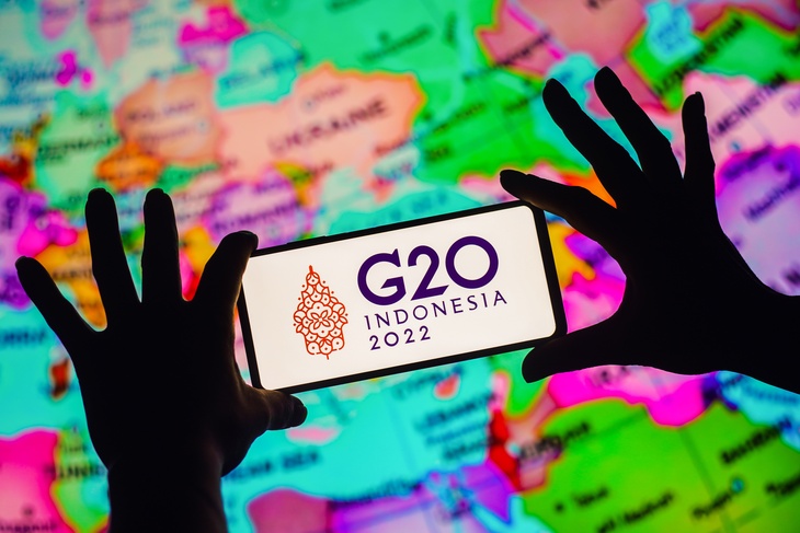 Раскрыта настоящая причина отказа Путина посетить саммит G20 на Бали