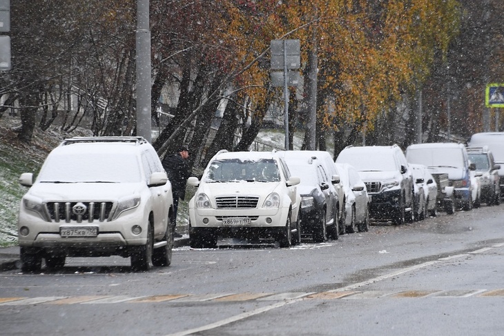 Снег с дождем накроет Москву 7 ноября