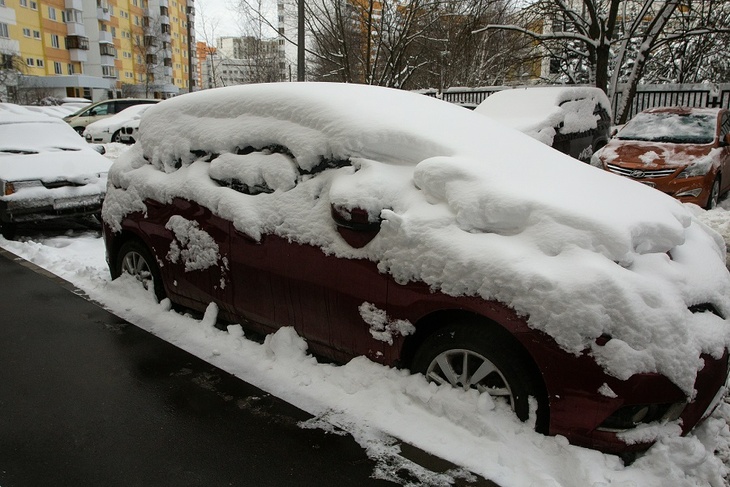 Метеоролог спрогнозировал рост температуры и числа осадков в Москве через 10 лет