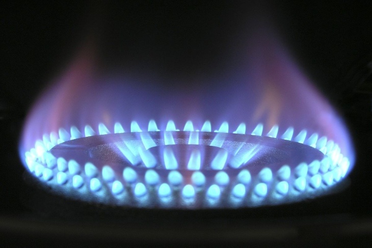 Группа стран ЕС потребовала снизить потолок цены на газ
