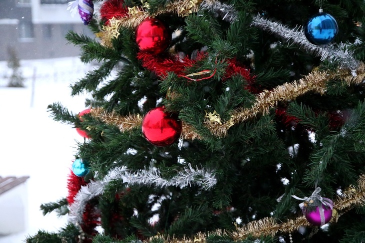 Россиян дали лайфхак, как не стать жертвой мошенников при заказах в интернете