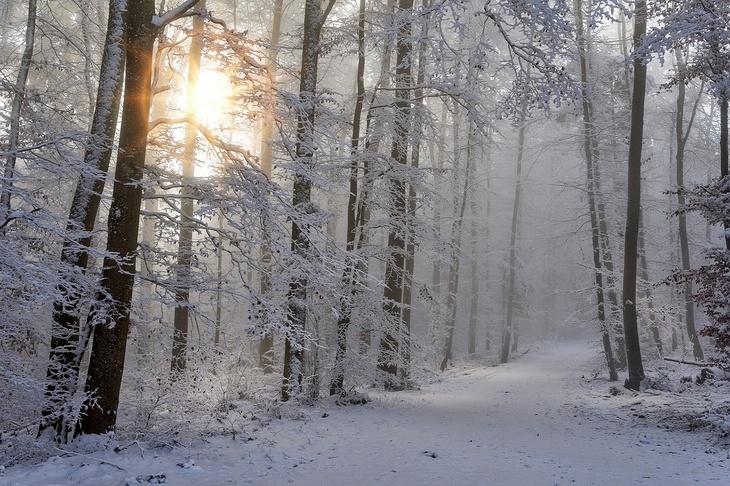 Время загадывать желания: что нужно сделать в день зимнего солнцестояния