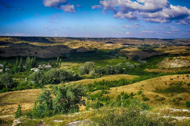 Участникам СВО раздадут землю в Крыму 