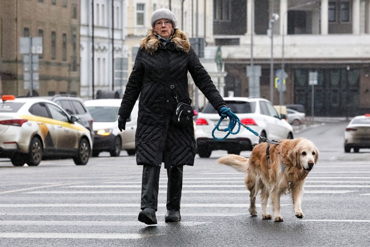 Синоптик Шувалов: Москву накроет «маловыразительная» погода в ближайшие дни