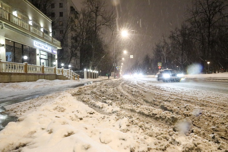 Москвичам рассказали, когда в столице растает снег